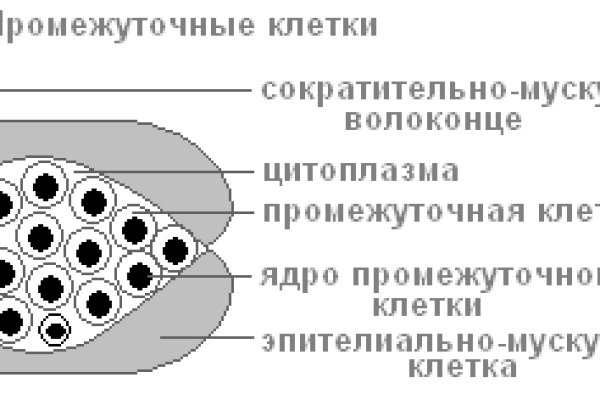 Ссылки на сайты даркнета